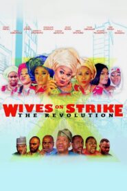 Wives on Strike: The Revolution 2018 one on netflix