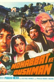 Mohabbat Ke Dushman 1988 one on netflix