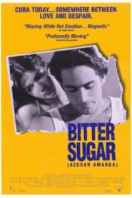 Bitter Sugar 1996 one on netflix