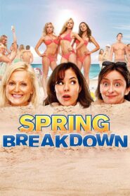 Spring Breakdown 2009 one on netflix
