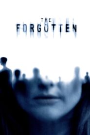 The Forgotten 2004 one on netflix