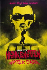 Hishkenstien: After Dark 2024 one on netflix