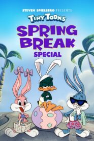 Tiny Toon Spring Break 1994 one on netflix
