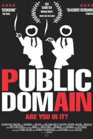 Public Domain 2003 one on netflix