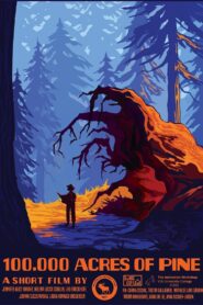 100,000 Acres of Pine 2020 one on netflix