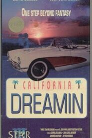Summer Seductions 1988 one on netflix