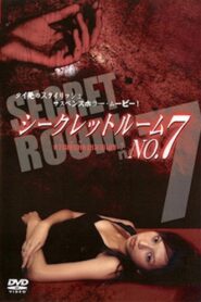 Secret Room No. 7 2005 one on netflix