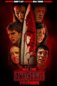 All the Wrong Friends 2016 one on netflix