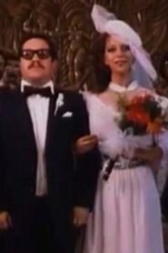 Marital Jokes 1989 one on netflix