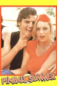 Pinball Summer 1980 one on netflix