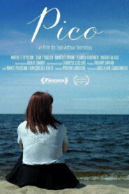 Pico 2024 one on netflix