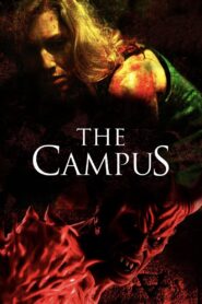 The Campus 2018 one on netflix
