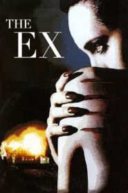 The Ex 1996 one on netflix