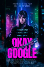 Okay Google 2020 one on netflix