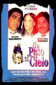 Un paso al cielo 1993 one on netflix