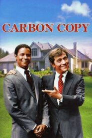 Carbon Copy 1981 one on netflix