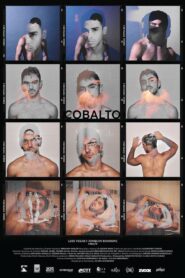 Cobalto 2023 one on netflix