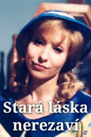 Stará láska nerezaví 2003 one on netflix