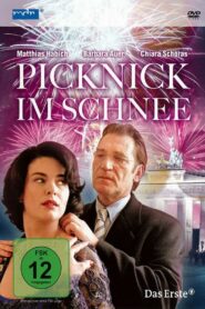 Picknick im Schnee 1999 one on netflix