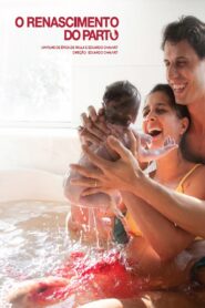 The Birth Reborn 2013 one on netflix