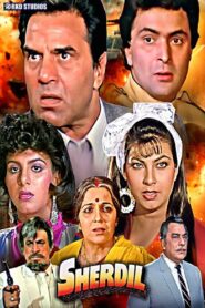 Sher Dil 1990 one on netflix