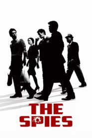 The Spies 2012 one on netflix