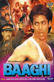 Baaghi: A Rebel for Love 1990 one on netflix