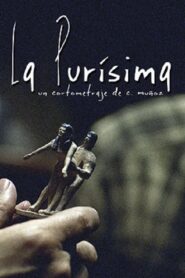 La purísima 2008 one on netflix