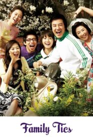 Family Ties 2006 one on netflix