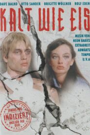 Strike Back 1981 one on netflix