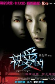 Forgive And Forget 2008 one on netflix