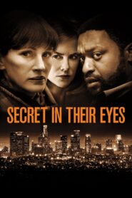 Secret in Their Eyes 2015 one on netflix