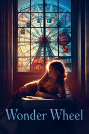 Wonder Wheel 2017 one on netflix