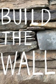Build the Wall 2020 one on netflix