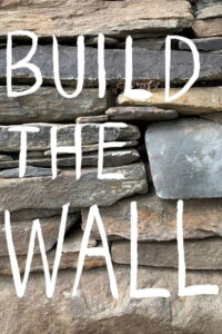 Build the Wall 2020 one on netflix
