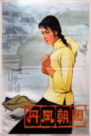 A Embroider Maiden 1980 one on netflix