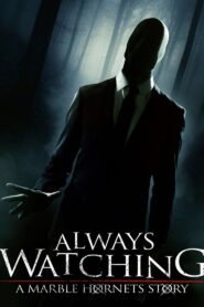 Always Watching: A Marble Hornets Story 2015 one on netflix