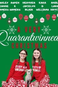 A Very Quarantwinned Christmas 2020 one on netflix