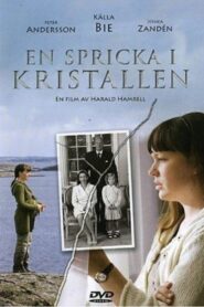 En spricka i kristallen 2007 one on netflix