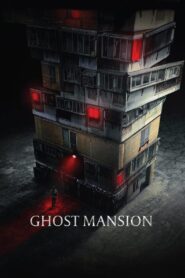 Ghost Mansion 2021 one on netflix