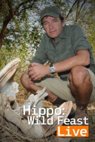 Hippo: Wild Feast Live 2011 one on netflix