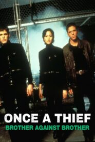 Once a Thief: Brother Against Brother 1997 one on netflix