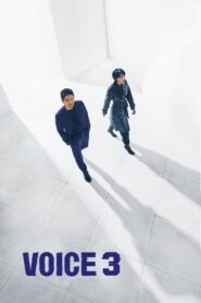 Voice 2017 one on netflix