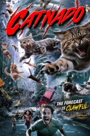 Catnado 2024 one on netflix