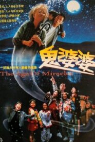 The Age of Miracles 1996 one on netflix