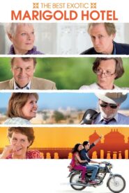 The Best Exotic Marigold Hotel 2012 one on netflix