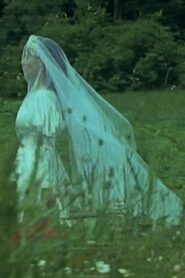 Black Orchid 1989 one on netflix