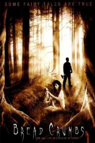 BreadCrumbs 2011 one on netflix
