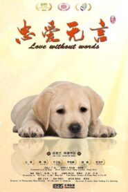 Love without Words 2017 one on netflix