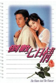 The Flame And The Fiancee 1995 one on netflix